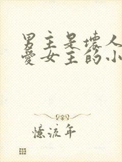 男主是坏人但很爱女主的小说