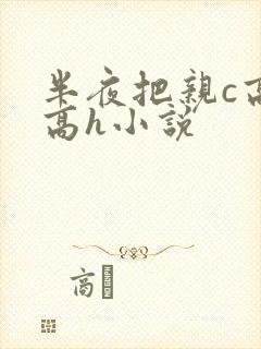 半夜把亲c高潮高h小说