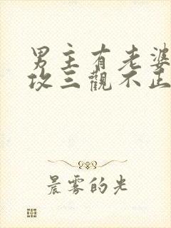 男主有老婆出轨攻三观不正的小说