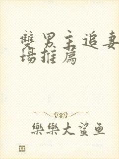 双男主追妻火葬场推荐