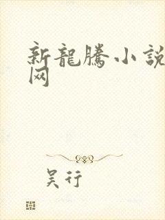 新龙腾小说阅读网