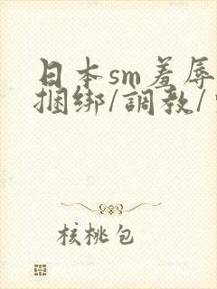 日本sm羞辱/捆绑/调教/束缚