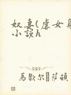 奴妻(虐女身)小说h