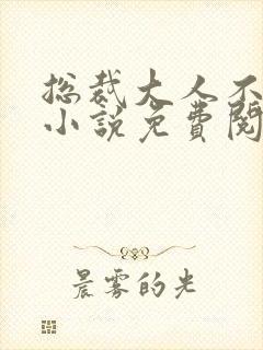 总裁大人不可以小说免费阅读