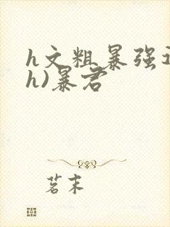 h文粗暴强迫(h)暴君