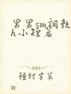 男男sm调教高h小短篇