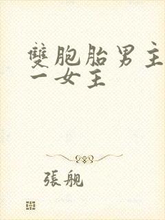 双胞胎男主共享一女主封面