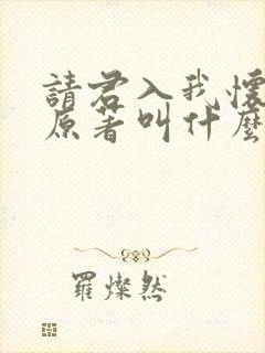 请君入我怀小说原著叫什么封面