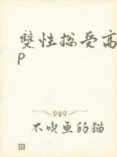双性总受高hnp封面