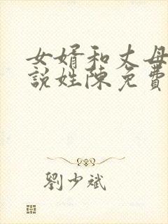 女婿和丈母娘小说姓陈免费阅读