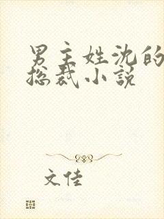 男主姓沈的霸道总裁小说