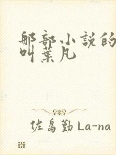 那部小说的主角叫叶凡封面