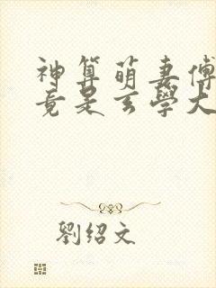 神算萌妻傅太太竟是玄学大佬小说封面