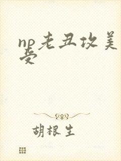 np老丑攻美人受