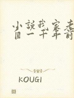 小说我家老婆来自一千年前免费阅读封面