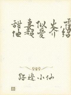 甜妻似火,霍爷他超爱介绍