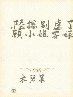 ,陆总别虐了,顾小姐要嫁人了