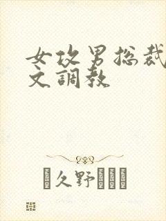 女攻男总裁sp文调教封面