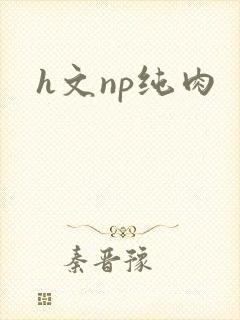 h文np纯肉