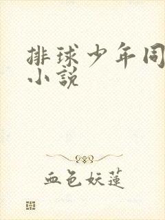 排球少年同人文小说