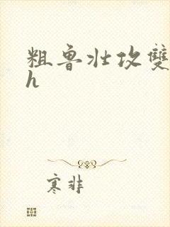 粗鲁壮攻双性受h