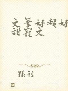 文笔好超好看的甜宠文