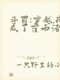 斗罗:穿越,我成了霍雨浩