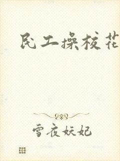 民工操校花小说