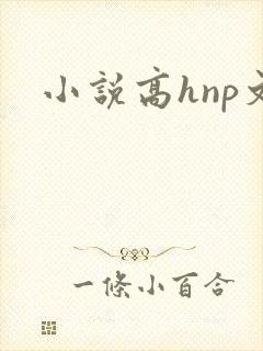 小说高hnp文