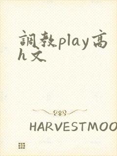 调教play高h文