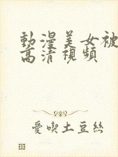 动漫美女被xx高清视频