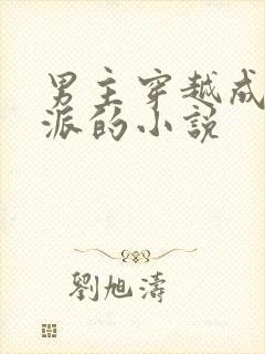 男主穿越成为反派的小说