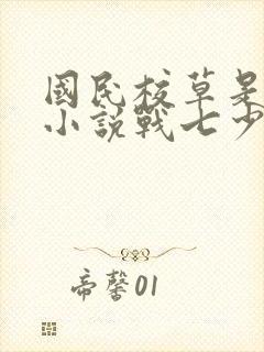 国民校草是女生小说战七少