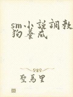 sm小说调教母狗养成