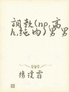 调教(np,高h,纯肉)男男封面