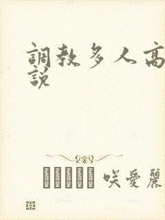 调教多人高h小说封面