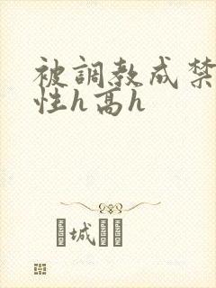 被调教成禁脔双性h高h