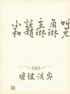 小说主角叫陈凡和赵琳琳免费阅读