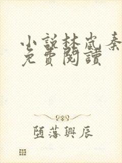 小说林岚秦小雅免费阅读封面