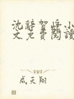 沈辞贺峥小说全文免费阅读