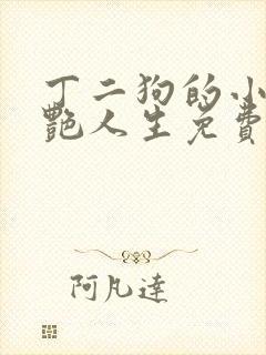 丁二狗的小说猎艳人生免费阅读全文