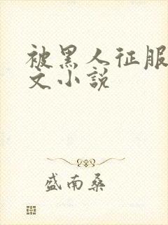 被黑人征服的淫文小说
