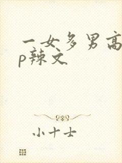 一女多男高hnp辣文
