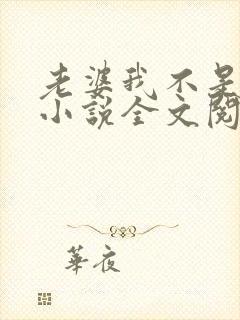 老婆我不是傻子小说全文阅读封面