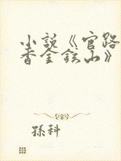 小说《官路女人香金铉山》