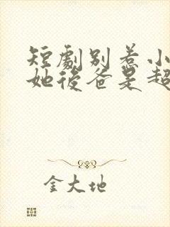 短剧别惹小小姐她后爸是超级女儿奴封面