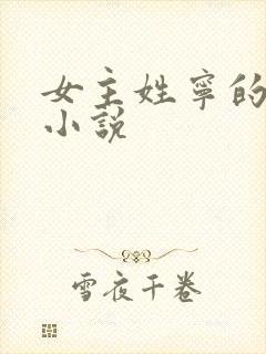 女主姓宁的现代小说封面