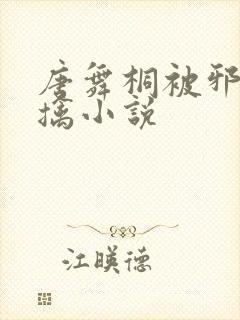 唐舞桐被邪魂师擒小说