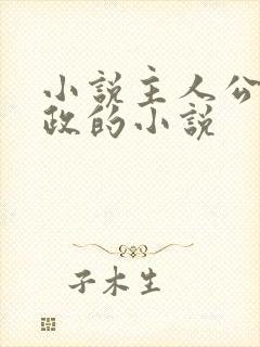 小说主人公叫黄政的小说