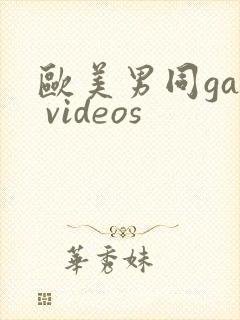 欧美男同gay videos